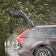 Image for article titled The 2017 Volvo V90 Cross Country Will Make You Demand The Wagon Life